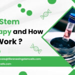 What Is Stem Cell Therapy and How Does It Work?