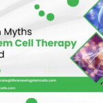 Common Myths About Stem Cell Therapy Debunked